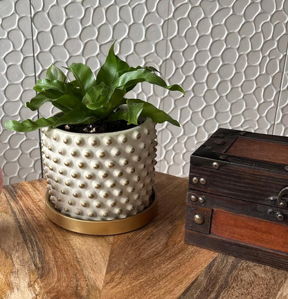 Bone Concrete Bubble Planter