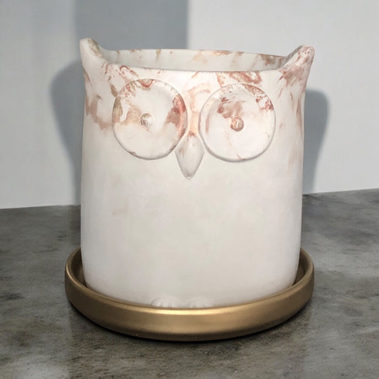 Large Rose Gold Owl Planter