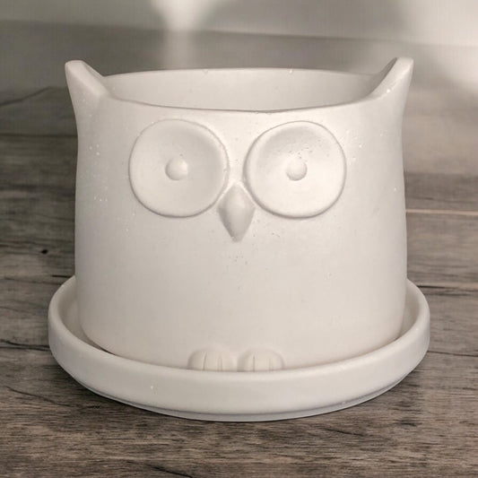 Small White Owl Planter