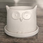 Small White Owl Planter