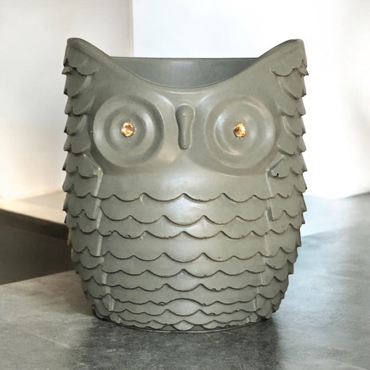 Sage Owl Succulent Planter