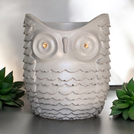 Gray Owl Succulent Planter