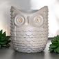 Gray Owl Succulent Planter