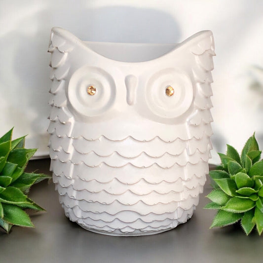 White Owl Succulent Planter